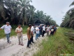 Kunjungan Perdana Dir Ops Agrinas ke Poktan RJM: Salut pada Manajemen, Tegaskan Pentingnya Sinergi