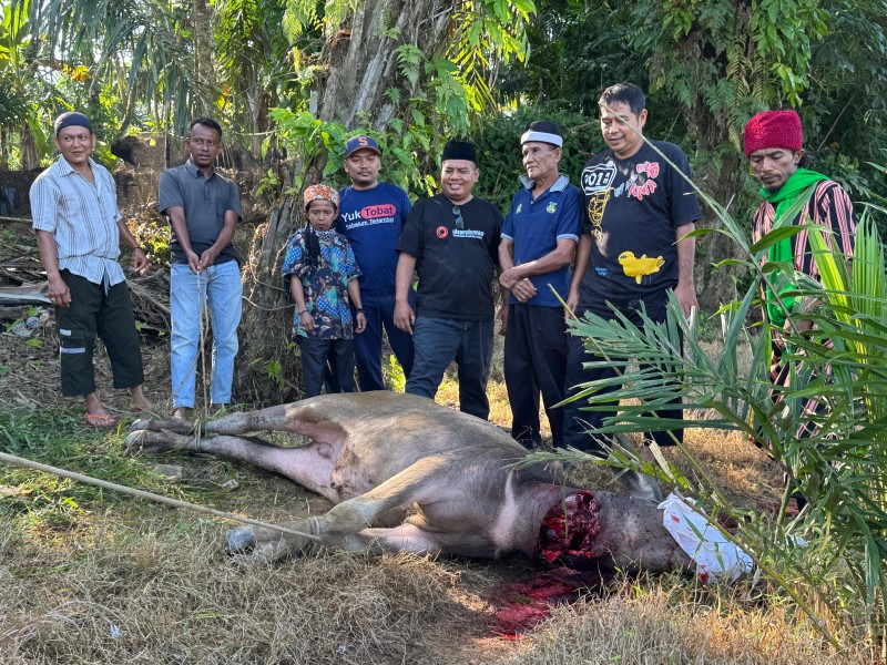 Idul Adha 1446 H, Mushollah At Tauhid Desa Birandang Sembelih 1 Ekor Hewan Qurban Bantuan Bupati Kampar