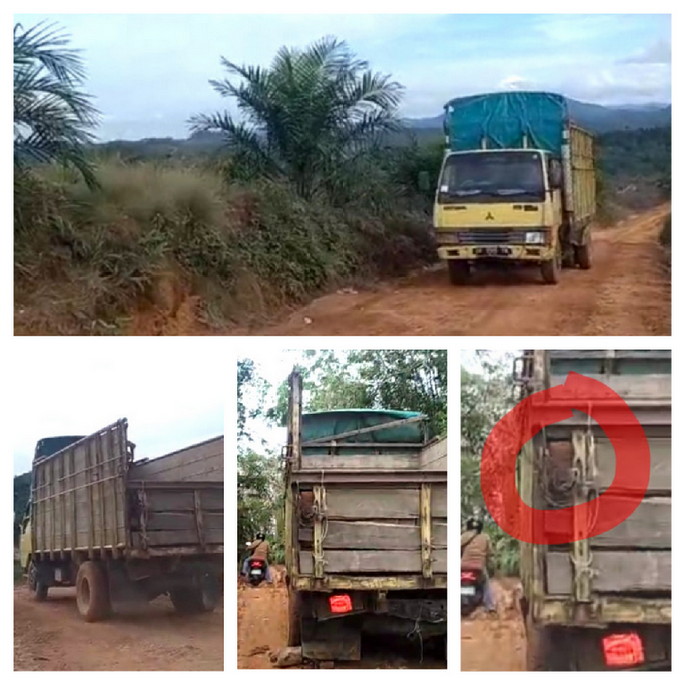 Masyarakat XIII Koto Kampar Korban Pembodohan, Hutan Habis Ditebang Sampai Pinggir Sungai