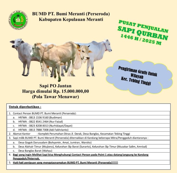 PT. Bumi Meranti Tawarkan Sapi Qurban Terjangkau untuk Idul Adha 2025